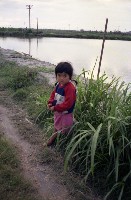 藏品(1950至2006年臺灣常民生活)的圖片