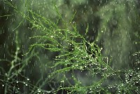 藏品(1950至2006年臺灣常民生活)的圖片