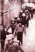 藏品(1950至2006年臺灣常民生活)的圖片