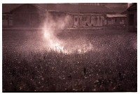 藏品(1950至2006年臺灣常民生活)的圖片