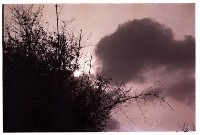 藏品(1950至2006年臺灣常民生活)的圖片