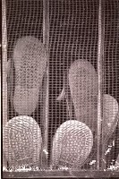 藏品(1950至2006年臺灣常民生活)的圖片