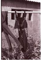 藏品(1950至2006年臺灣常民生活)的圖片