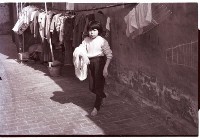 藏品(1950至2006年臺灣常民生活)的圖片