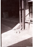 藏品(1950至2006年臺灣常民生活)的圖片