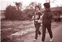 藏品(1950至2006年臺灣常民生活)的圖片