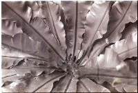 藏品(1950至2006年臺灣常民生活)的圖片