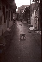 藏品(1950至2006年臺灣常民生活)的圖片