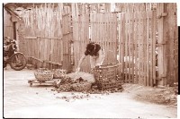 藏品(1950至2006年臺灣常民生活)的圖片