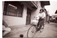 藏品(1950至2006年臺灣常民生活)的圖片