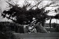 藏品(1950至2006年臺灣常民生活)的圖片