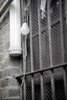 藏品(1950至2006年臺灣常民生活)的圖片