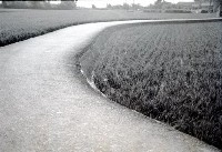 藏品(1950至2006年臺灣常民生活)的圖片