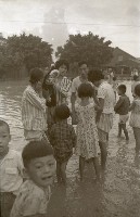 藏品(1950至2006年臺灣常民生活)的圖片