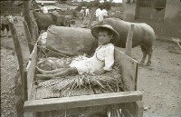 藏品(1950至2006年臺灣常民生活)的圖片