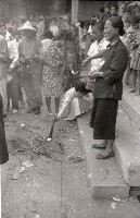 藏品(1950至2006年臺灣常民生活)的圖片