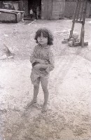 藏品(1950至2006年臺灣常民生活)的圖片