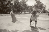 藏品(1950至2006年臺灣常民生活)的圖片