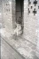 藏品(1950至2006年臺灣常民生活)的圖片