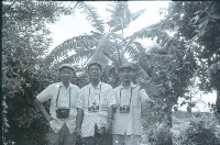 藏品(香蕉俱樂部成員（1950至2006年臺灣常民生活）)的圖片