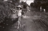 藏品(1950至2006年臺灣常民生活)的圖片