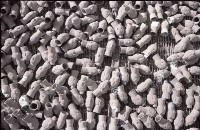 藏品(1950至2006年臺灣常民生活)的圖片