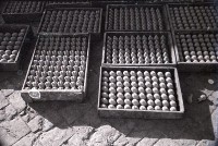 藏品(1950至2006年臺灣常民生活)的圖片