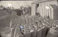 藏品(1950至2006年臺灣常民生活)的圖片