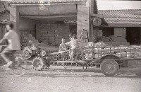 藏品(1950至2006年臺灣常民生活)的圖片