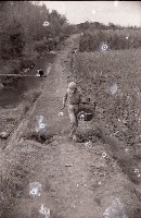 藏品(1950至2006年臺灣常民生活)的圖片