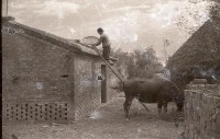 藏品(1950至2006年臺灣常民生活)的圖片