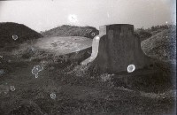 藏品(1950至2006年臺灣常民生活)的圖片