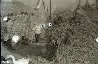 藏品(1950至2006年臺灣常民生活)的圖片