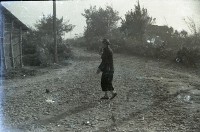 藏品(1950至2006年臺灣常民生活)的圖片