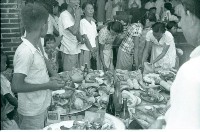 藏品(大將爺生（1950至2006年臺灣常民生活）)的圖片