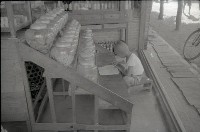 藏品(1950至2006年臺灣常民生活)的圖片