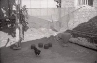 藏品(1950至2006年臺灣常民生活)的圖片