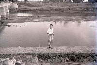 藏品(1950至2006年臺灣常民生活)的圖片