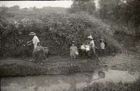 藏品(1950至2006年臺灣常民生活)的圖片