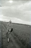 藏品(1950至2006年臺灣常民生活)的圖片