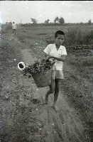 藏品(1950至2006年臺灣常民生活)的圖片