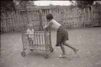 藏品(1950至2006年臺灣常民生活)的圖片