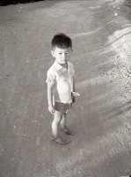 藏品(1950至2006年臺灣常民生活)的圖片