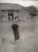 藏品(1950至2006年臺灣常民生活)的圖片