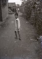 藏品(1950至2006年臺灣常民生活)的圖片