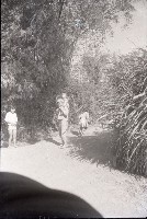 藏品(1950至2006年臺灣常民生活)的圖片