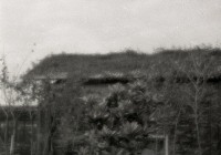 藏品(1950至2006年臺灣常民生活)的圖片