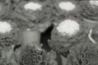 藏品(1950至2006年臺灣常民生活)的圖片