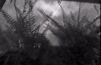 藏品(1950至2006年臺灣常民生活)的圖片