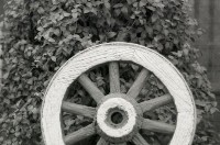 藏品(1950至2006年臺灣常民生活)的圖片